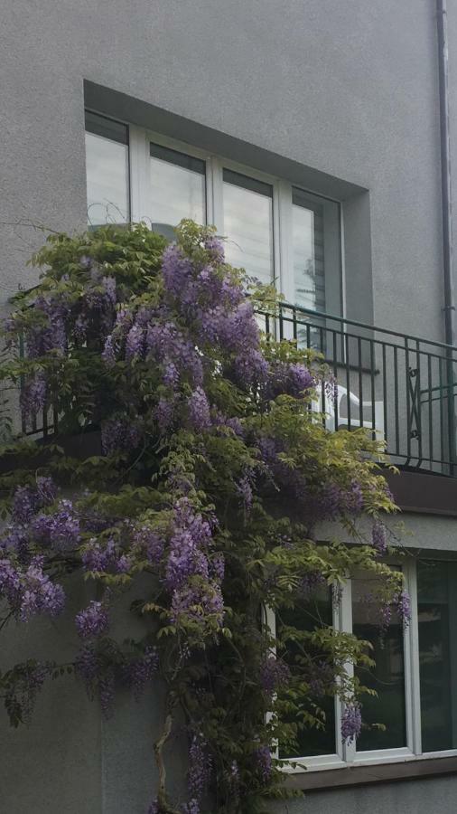 Willa Przy Plazy Gdynia Kamienna Gora Εξωτερικό φωτογραφία